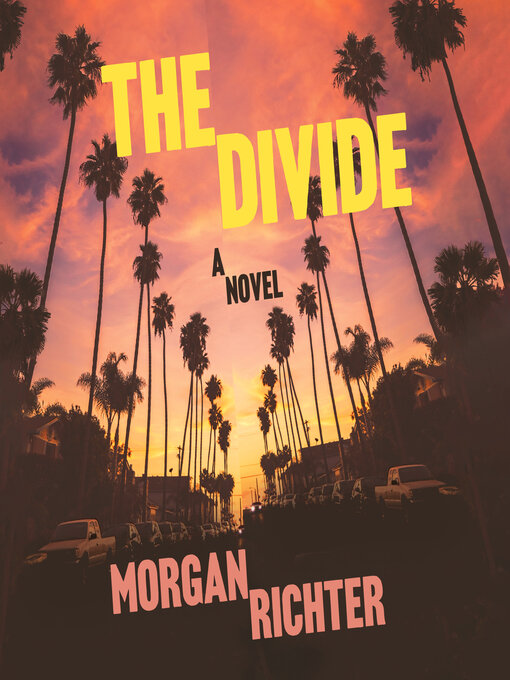 Title details for The Divide by Morgan Richter - Available